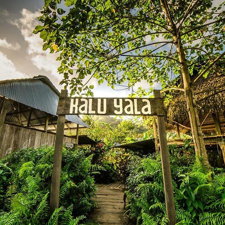 The Jungle Lodge At Kalu Yala Ciudad de Panamá Exterior foto